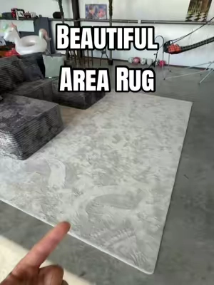 Beautiful Soft and Dense Area Rug
