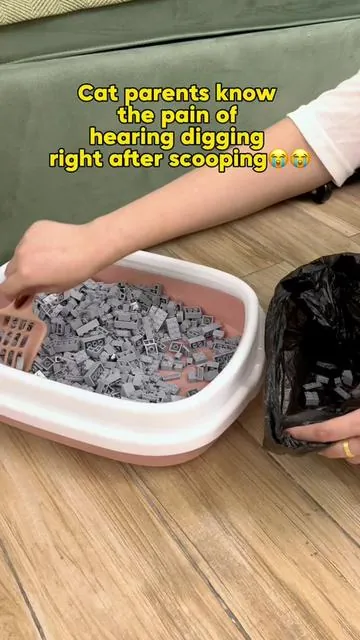 I used to take fresh litter personally. Now PetPivot takes care of it.#catlitterbox #catproducts #catparent #dealsforyoudays #petpivot 