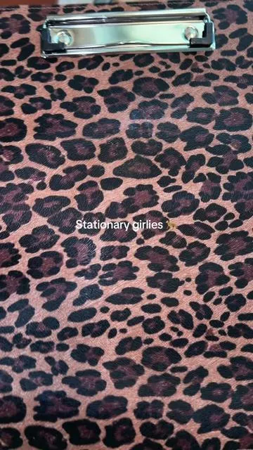 Tell me this cheetah print is not the cutest for this everything binder 😮‍💨 #binder #stationary #backtoschoolessentials #backtoschool #parentsoftiktok 