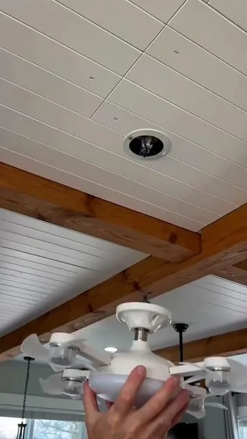 Whoever invent this deserves raise #fan #dealsforyoudays #fanlight #fyp #savemoneytips 