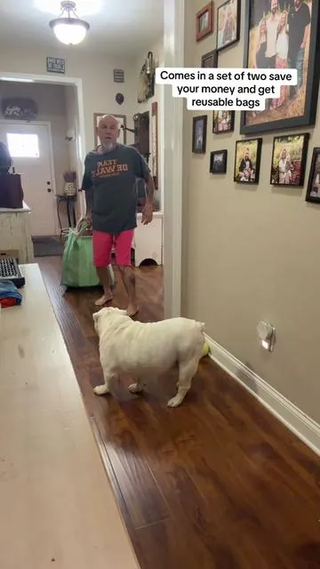 #dealsforyoudays #trendingvideo 
