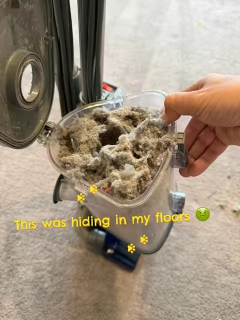 I clean constantly and this still pulled all of that out of my floors 😭 The Shark Navigator Lift-Away has a detachable pod for stairs and furniture, HEPA filter for allergies, switches between floor types with one button, and comes with the tools you actually need. Swipe through 👀 caught it on sale — link’s in the shop 🛒 #sharkliftaway #vacuum #CleanTok #PetsOfTikTok #dealsforyoudays 