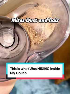 This is what Was HIDING Inside My Couch#Feppo #mattressvacuum #summerwins #dealsforyoudays #dustmites 
