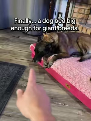 PAWPUBBY orthopedic memory foam dog bed with washable waterproof cover for large dogs. 🐾👇 #DogBed #OrthopedicDogBed #MemoryFoamDogBed #LargeDogs #DealsForYouDays 