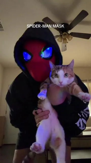 where is Peter Parker? #spiderman 