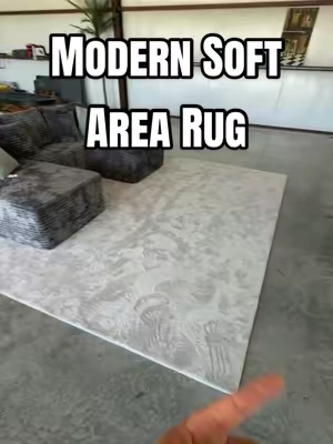 Beautiful Soft Modern Area Rug