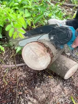 If you don’t have one, you’re missing out!!Grab one before they’re gone #dealsforyoudays #homeimprovement #polesaw #chainsaw #yardwork 