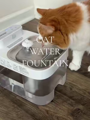 As a cat parent, I wish I knew this sooner. #catwaterfountain #catproducts #tiktokshop #petlovers #catparent 