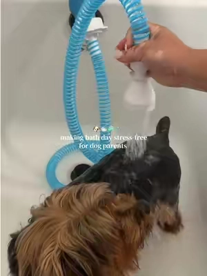 every dog parent’s bath day essential 🐶🛁🚿  #dogparents #dogmomlife #dogbath #petmusthaves #bathday 