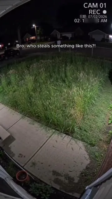 Should I call the police?🤷🏼‍♀️🚔#lawntrimmer #gardeningtools #lawncare #Seese #TikTokShop
