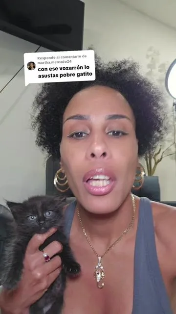 Respuesta a @martha.mercado24  Arenero para gatos de tapa abierta. Arenero autolimpiante simplificado con sensores de seguridad confiables. Sin aplicación. . . . #arenero #areneroparagatos #gatos #michis #dealsforyoudays @Warcat Pro 