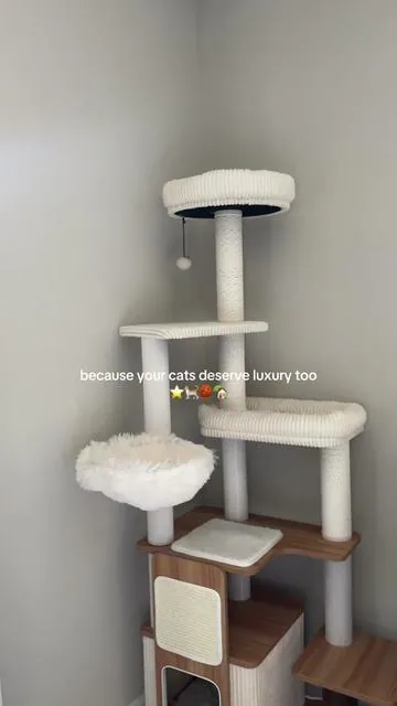 and durability!! after a year with our old tower it was completely torn apart, but this wood is so luxe, high quality, and made with the so many places to scratch- the cats are already having so much fun #fyp #cat #catsoftiktok #cattower #cattree 