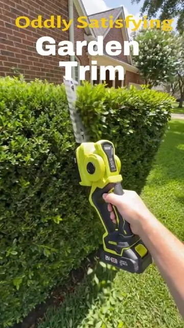 YOU WON’T BELIEVE HOW CLEAN THIS HEDGE LOOKS AFTER ONE PASS #yardwork #hedgetrimmer #prune#SEESEtools#womenwithtools