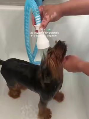finally, a better way to wash your dog 🚿🛁 @Rinseroo™  #bathday #petmusthaves #dogparents #dogbath #dogmomlife 