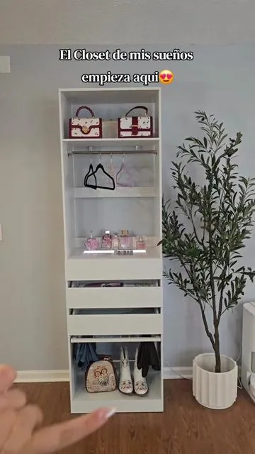 My Dream Closet ✨️ #closetorganization #armario 