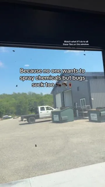 The flies are gone within minutes! #bugrepellent #bugspray #naturalbugrepellent #peppermintoil #flyrepellent 