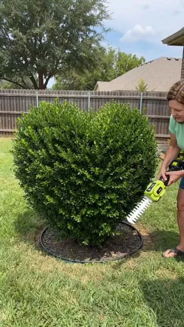 The landscaper charges too much. I got this instead. #TikTokShopDealsforYouDays #DealsForYouDays #newarrivals #hedgetrimming #hedgetrimmers 