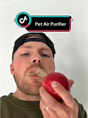 wait these actually work?? #airpurifier #allergies #pethairremoval #CleanTok #petparents 
