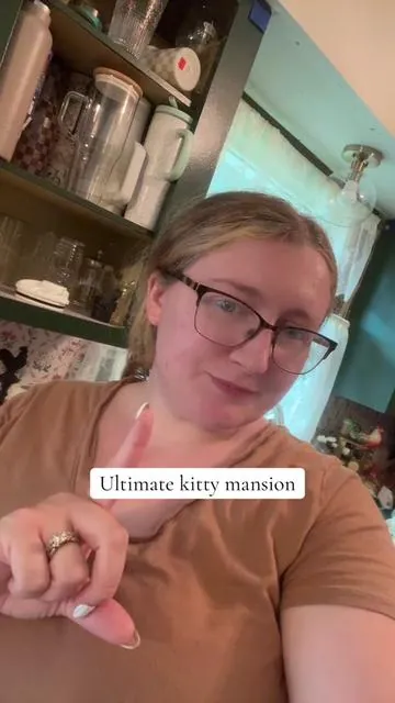 #catsoftiktok #mainecoon #catslovers #foryoupage #fyp 