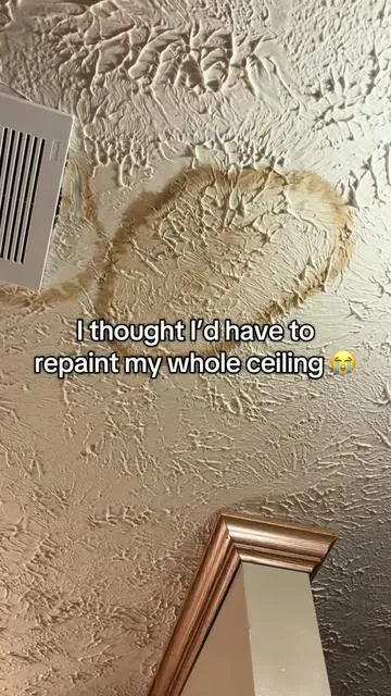 You can use this spray for so many different things, I didn’t know it would take away the water stains like this!! #stainremover #moldremover #alienpower #cleantok #tiktokshop 