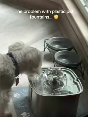 #petfountain #catfountain #petaccessories 