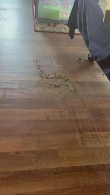 Roborock w pet mess detector.  Super important feature. 
