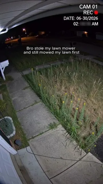 Should I call the police?🤷🏼‍♀️🚔#lawntrimmer #gardeningtools #lawncare #Seese #TikTokShop