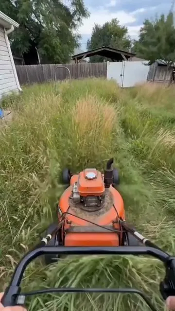 Be honest, how much do you dread trimming your yard? If you’re tired of heavy, gas-guzzling tools that leave your back aching for days, you need to see this.#lawntrimmer #gardeningtools #lawncare #Seese #TikTokShop