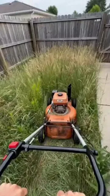 Be honest, how much do you dread trimming your yard? If you’re tired of heavy, gas-guzzling tools that leave your back aching for days, you need to see this.#lawntrimmer #gardeningtools #lawncare #Seese #TikTokShop
