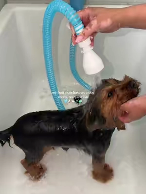 bath time just got 100x easier ✨ @Rinseroo™  #dogmom #bathday #dogbath #dogparents #petmusthaves 