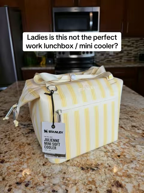 This Stanley all day julienne mini cooler would make a great work lunchbox! #lunchbox #stanleylunchbox #stanleycooler #minicooler #cooler 