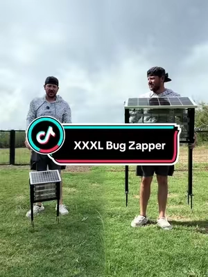 Can’t believe he paid that much for that tiny thing 😅 #solarbugzapper #bugzapper #mosquitohack #tiktokshopcreatorpicks #tiktokshopsummersale 