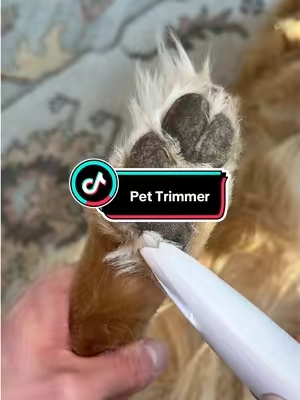 but why are these so cheap 🤣🤣 #pettrimmer #petgrooming #doggrooming #dogaccessories #petaccessories 
