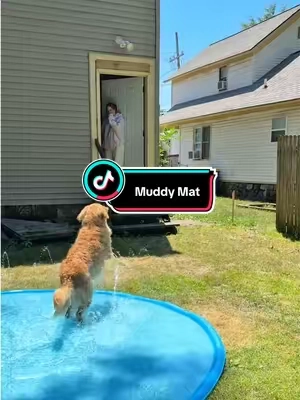 not sure how much longer this is gonna be a thing  #muddymat #doormat #petparents #CleanTok #dirt 