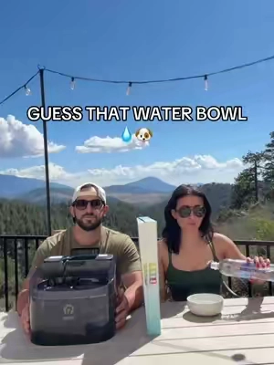 Which dog water bowl do you have?