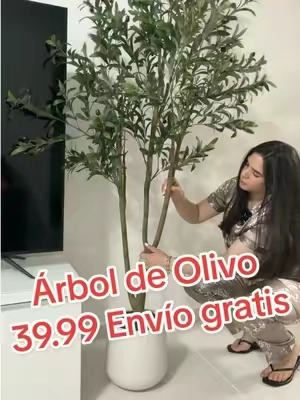 #soylisy #tiktokshop 