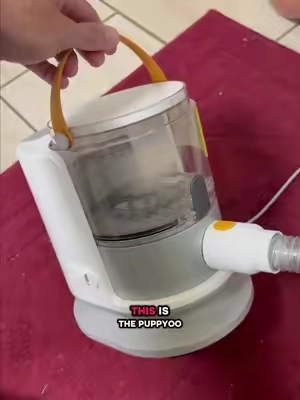 Dog grooming vacuum to help keep those run away hairs in check! We love the de-shedder because our husky is always putting hair all over the place! #doggrooming #dogvacuum #dogdeshedding 
