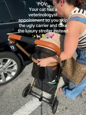 Looking for a premium pet stroller that’s actually built to last? This foldable pet stroller makes trips to the vet, walks around the neighborhood, and travel so much easier while keeping your cat safe and comfortable. The spacious carrier doubles as a car seat, making it easy to move from the car to the stroller without disturbing your pet. Features I love: • Foldable design for easy storage • Carrier doubles as a secure car seat • Large enough for two cats • Fully removable, washable interior for easy cleanup after accidents • Mesh windows for ventilation and visibility • Built-in cup holder and storage basket underneath • Brake system for added safety when you stop • Comfortable ride for daily walks, vet visits, and travel There are definitely less expensive pet strollers out there, but the quality, durability, and thoughtful design on this one are on a completely different level. If you travel with your cats often or simply want to make vet visits less stressful, this is one of those upgrades that’s worth considering. #tiktokshopcreatorpicks #summervibes  #summeressentials #tiktokshopsummersale  