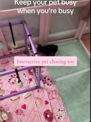 Keeping my little Yorkie entertained is a full-time job 😂🐶 This interactive rolling ball keeps Starkeisha chasing, playing, and getting her zoomies out while keeping her mind engaged. I love finding toys that encourage active play and enrichment! 💕🐾 #TikTokShop #CreatorPicks #DogToy #PuppyEssentials #Yorkie   