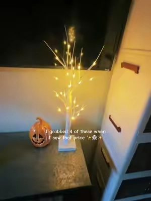They can run on AA battle be plugged in! @HOODINK #lightuptree #tabledecor #halloweendecor #christmasdecor 