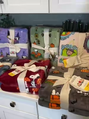 🎃 Snoopy and Charlie Brown on Halloween blankets!!! #snoopy #halloween 
