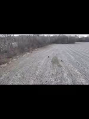 Capture stunning aerial photos and smooth 4K video with the SKYROVER X1 Camera Drone. Its lightweight design, long flight time, intelligent flight modes, and easy controls make it a great choice for travel, content creation, and outdoor adventures. #tiktokshopcreatorpicks #Drone #AerialPhotography #ContentCreator #TechGadgets @SkyRover Official 