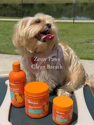 PawFresh Daily Dental Hydration Bundle for Dogs – Water Additive + Dental Probiotic Powder + Clean Breath Bites @Zesty Paws  #cleanbreath #dentalcare #pets #dogcare #mascotas 