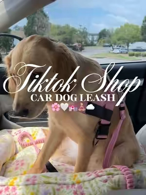 Car dog leash 🌸🤍💒🧘🏼‍♀️☁️#fyp #dogtravel #dogessentials #dogleash #dogharness 