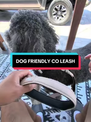 The leash that actually makes walks comfortable #fyp #dogs #dfcoambassador #dfcojuly #poodle @dogfriendlyco 