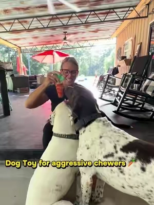 Do you have a dog that is an aggressive chewer ???  Then this is the toy 🥕 for your pup!!  And it smells like bacon 🥓  It’s practically indestructible!!  @Apasiri Pet Store  #dogtoy #dogtoyreview #dogtoysoftiktok #carrots #fyp 