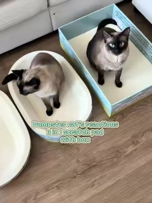 What a great deal for all three stackable cat scratch pad. #tiktokshopcreatorpicks #catenrichment #catscratcher #catstoys #catbed  