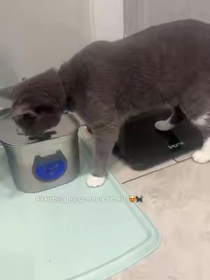 My kitties live like 👑 around here. #catfountain #catbowl #waterbowl #cataccessories #dogaccessories 