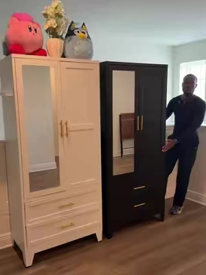 CHOOSE the one you like best. Metal wardrobes with mirrors, 2 designs available  #wardrobe #closetorganization #homeessentials #tiktokshopsummersale 