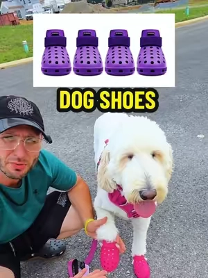 This is a great idea!! #pawprotection #dogpaw #dogparents #dogmusthaves #dogaccessories 